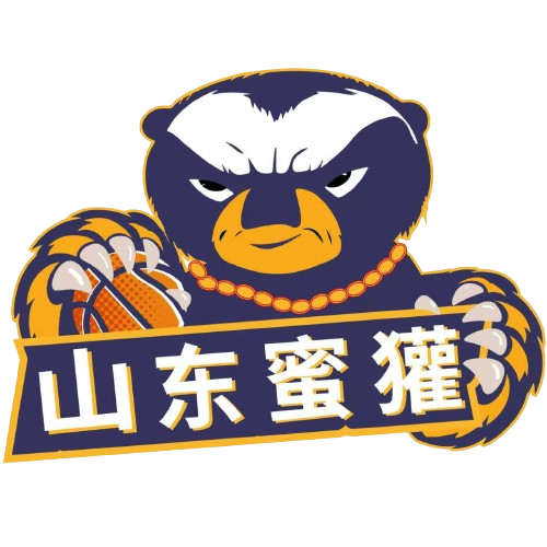 沃尔夫斯堡